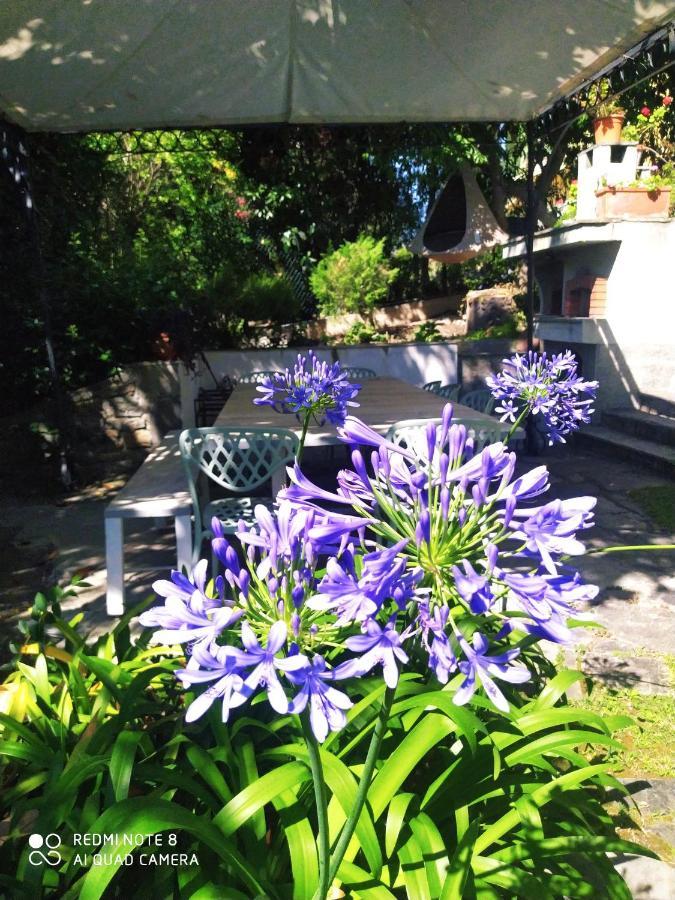 Pergolato Suite Sanremo Eksteriør billede